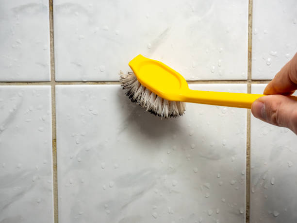 Best Toxic Mold Removal  in Berino, NM