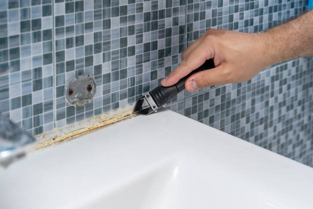 Best Mold Cleaning Services  in Berino, NM